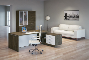 Кабинет руководителя Terra